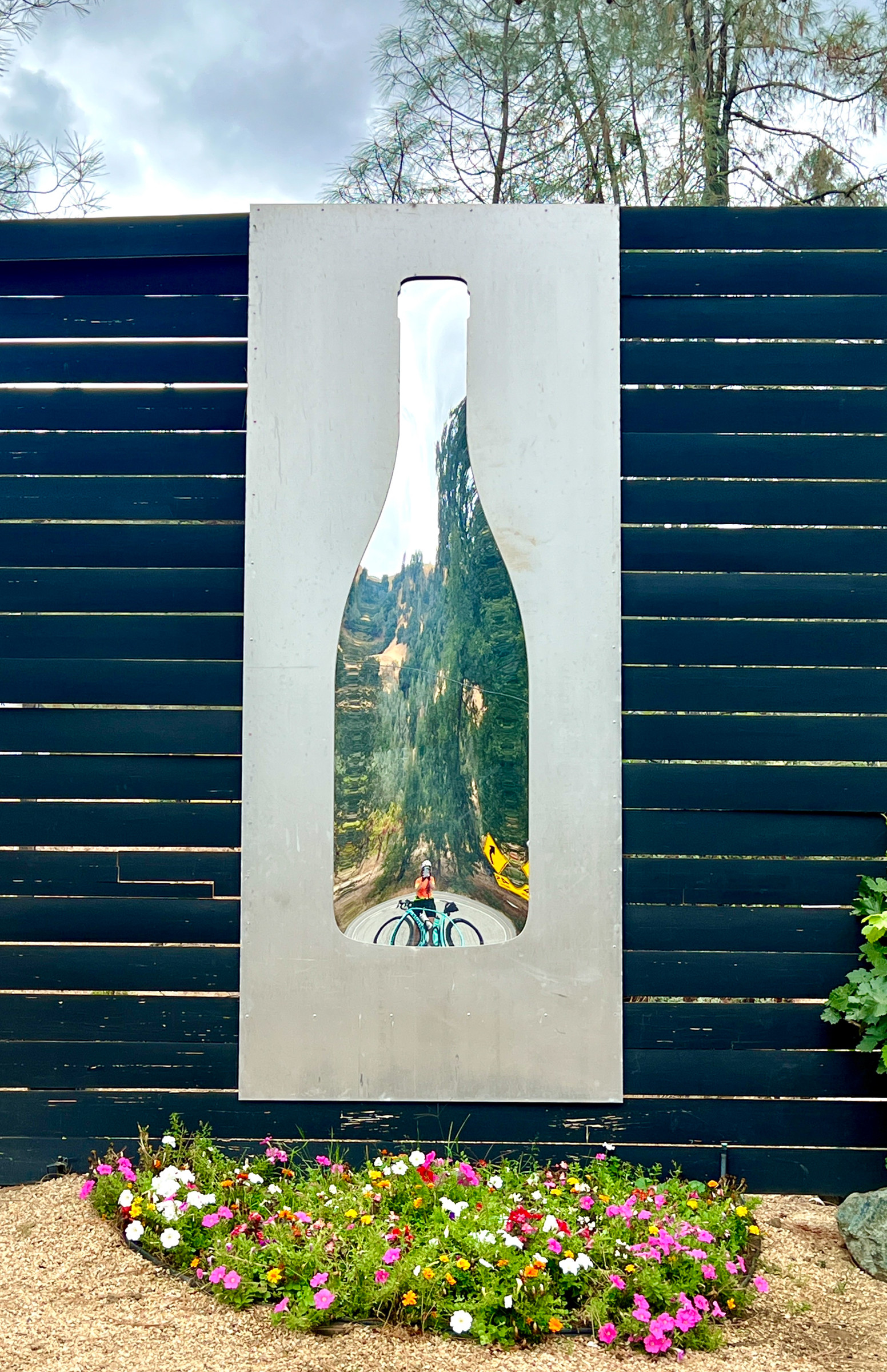 Bike in a bottle-2.jpg
